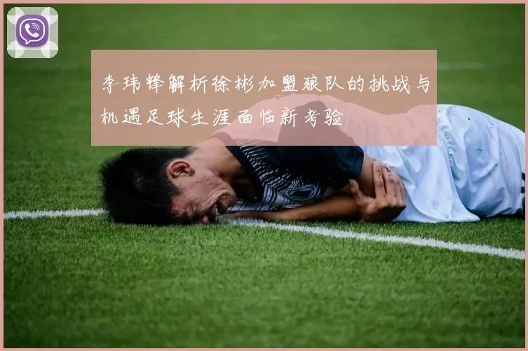 李玮锋解析徐彬加盟狼队的挑战与机遇足球生涯面临新考验