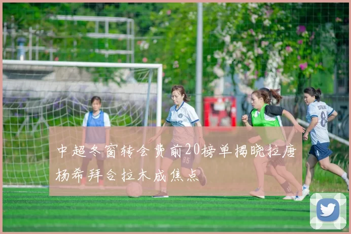 中超冬窗转会费前20榜单揭晓拉唐杨希拜合拉木成焦点